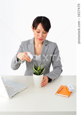 女商人和室內植物 女商人和室內植物 3837470