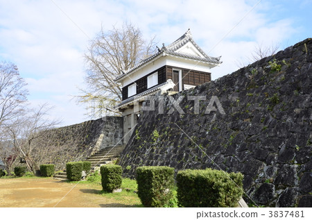 臼杵城堡遺址 臼杵城堡遺址 3837481