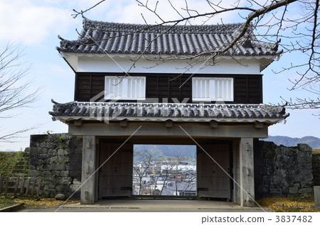 臼杵城堡遺址 臼杵城堡遺址 3837482