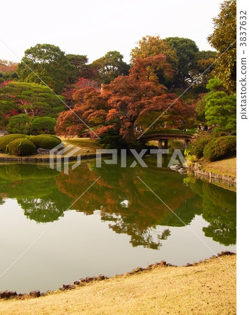 六義花園 花園 日本園林 3837632