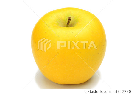 黃色的蘋果 3837720