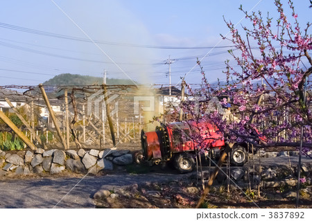 農藥噴灑 3837892