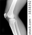 Roentgen right knee joint and shin 3838392