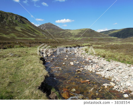 Scottish nature 3838554