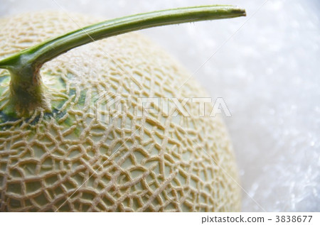 melon 3838677