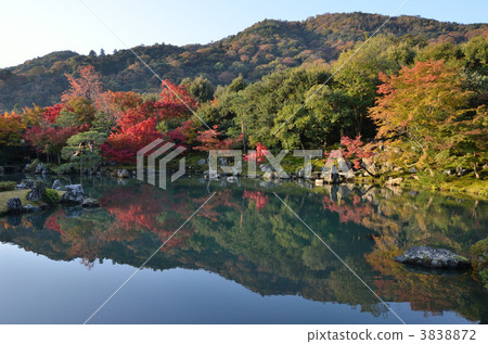 Tenryuji, Saseike pond garden 3838872