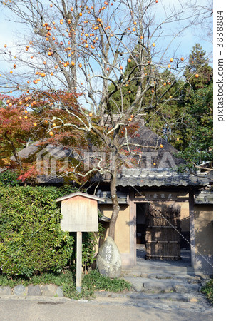 嵐山，沖繩 3838884