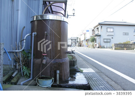 自吹得好 3839395