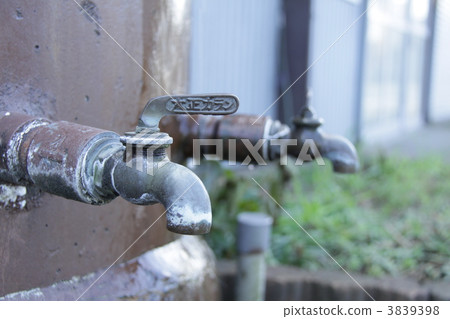 自吹得好 3839398