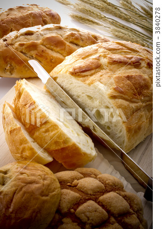 bucket bucket 3840278