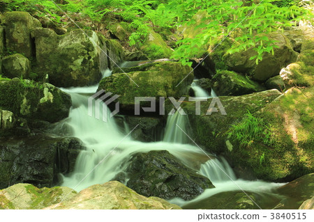 山溪 山澗 遊蘇 3840515