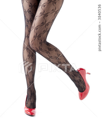 leg  3840536