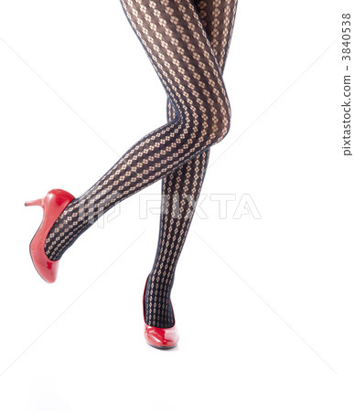 leg  3840538