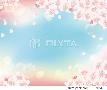 天空 花朵 花 3840563