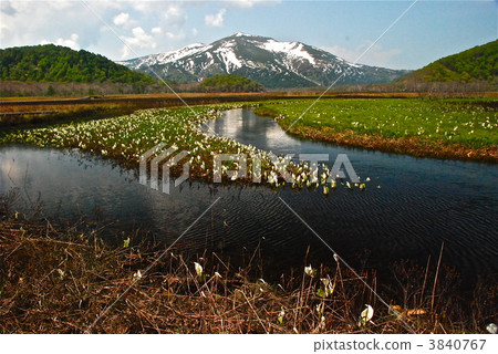 我希望來自Ozegahara（Ozegara）的Omosehara 3840767