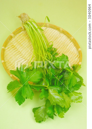 three-leaved  3840964