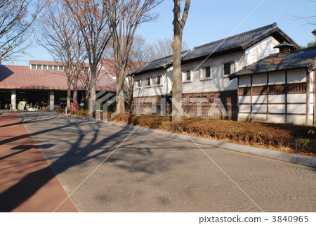Fuchu city local forest 3840965