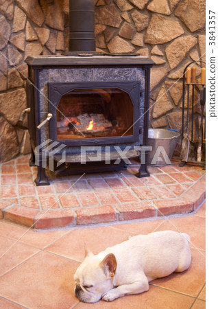 在壁爐裡暖和 3841357