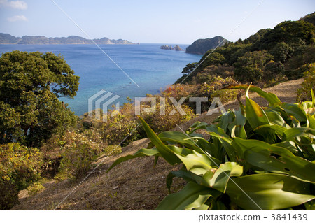 宮崎縣日南市，從山上俯瞰大海 3841439
