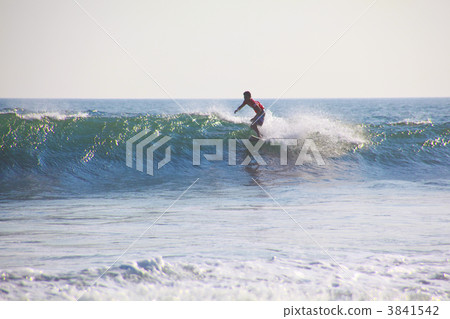 Shonan coast surfer 3841542