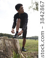 stub, stump, stumps 3842867