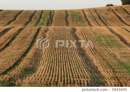 danish landscape01 danish landscape01 3843045