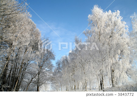 winter in denmark 3843772