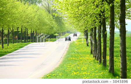 spring road 3843896