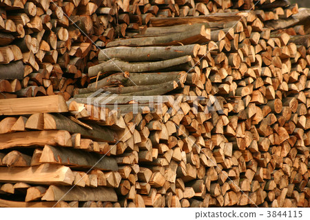 tree trunk tree trunk 3844115