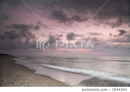 On the beach 3844364