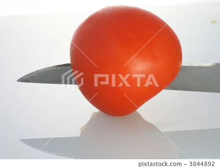 3844892