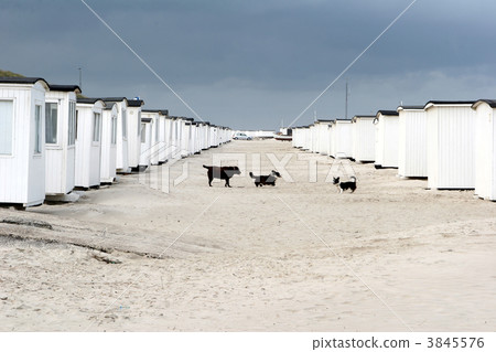 beach house beach house 3845576