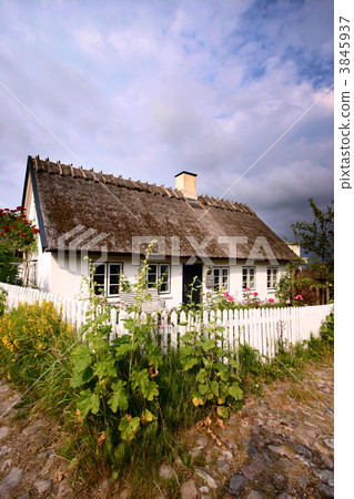 house house 3845937