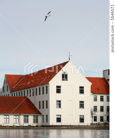 white house 3846071