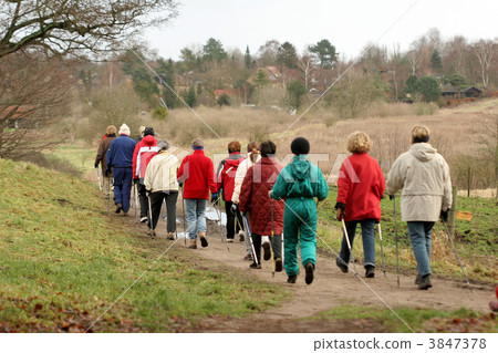 group in the forest group in the forest 3847378