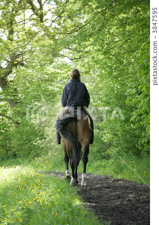 riding horses riding horses 3847595