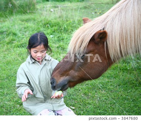 riding horses 3847680