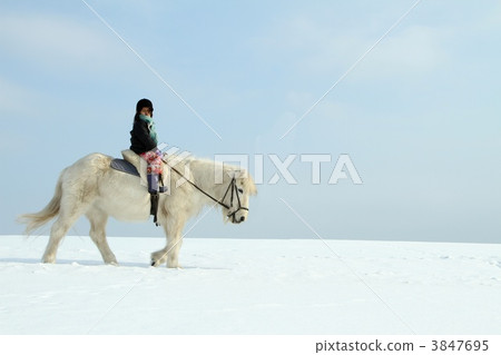 riding horses riding horses 3847695
