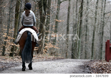 riding horses riding horses 3847699