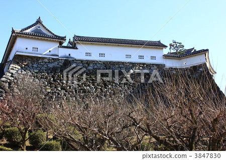 希望從高知城堡本丸從廚房Yashiki住宅Bairin 3847830