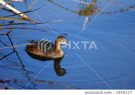 我真的對恐怖症感到驚訝。 我真的對恐怖症感到驚訝。 3849127