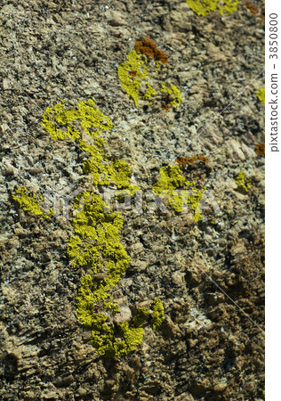 stone 3850800