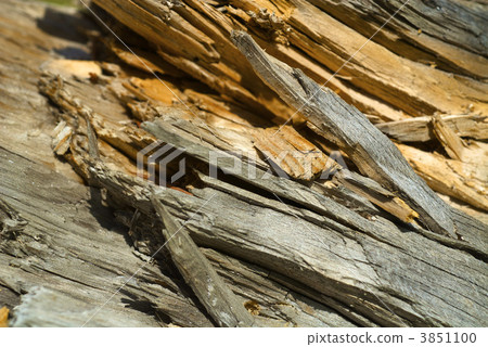 wood, panel, panels 3851100