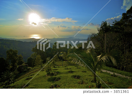 Tropical park Tropical park 3851361