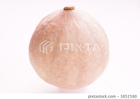 Pumpkin (variety / snow makeup) Pumpkin (variety / snow makeup) 3852580