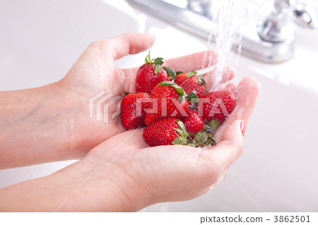 Woman Washing Strawberries Woman Washing Strawberries 3862501