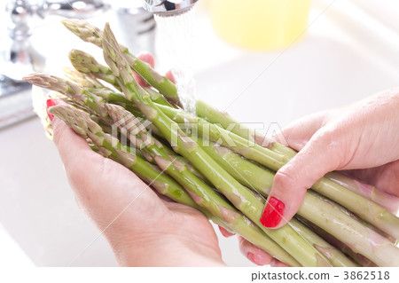 Woman Washing Asparagus Woman Washing Asparagus 3862518