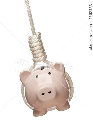 Piggy Bank Hanging in Hangman's Noose on White Piggy Bank Hanging in Hangman's Noose on White 3862588