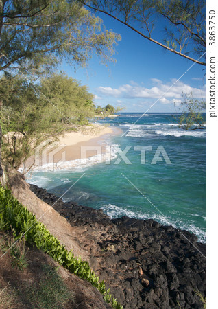 Tropical Shoreline Tropical Shoreline 3863750