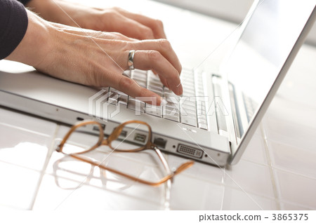 Female Using Laptop 3865375